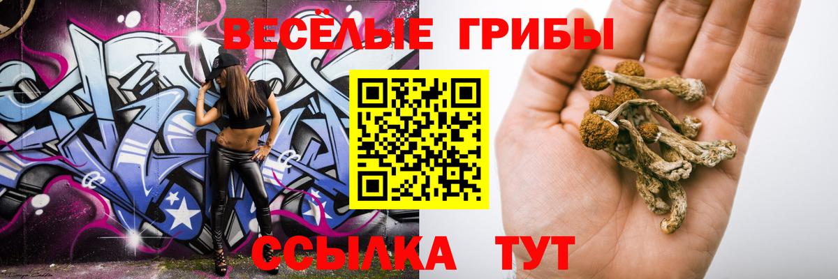 Воскресенск  Псилоцибиновые грибы ЛСД  Вход с VPN 